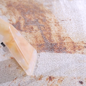 Aspirapolvere per Tappeti Domestico, Macchina per Pulizia Auto, Aspiratore Industriale per Liquidi <span class=keywords><strong>e</strong></span> Solidi - Product Image 4