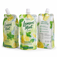 Pochettes à bec verseur personnalisées de 250 ml, qualité alimentaire, fond plat, avec buse rechargeable, anti-fuite, pour boissons citron-menthe, sacs stérilisables