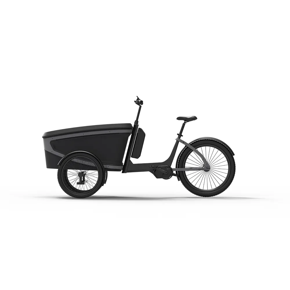 Elektrikli bisiklet 3 tekerlekler kargo ön EPP pedalı elektrikli kargo kutusu Trike aile kargo üç tekerlekli bisiklet 250w 500w 750w ebike yetişkinler için