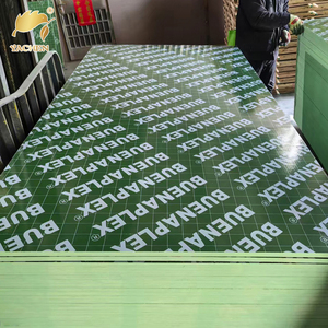 <span class=keywords><strong>Compensato</strong></span> <span class=keywords><strong>marino</strong></span> in plastica PP verde <span class=keywords><strong>compensato</strong></span> filmato per la costruzione - Product Image 2