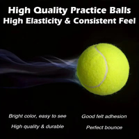Balles de tennis à haute élasticité pour l'entraînement et la compétition, en caoutchouc extérieur à fibres élastiques pour les exercices et le divertissement