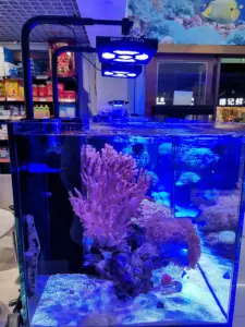 مصباح الشعاب المرجانية, CTLite الذكية البحرية المرجان نانو LED Aquarium ضوء كامل الطيف 5 LED قنوات يعتم