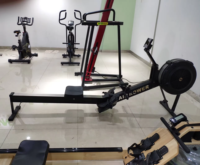 Máquina de remo de fábrica al por mayor, equipo de fitness para gimnasio, remero de aire, máquina de fila de resistencia comercial