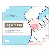 Patch Minceur Magnétique de Soins Corporels Personnalisé Marque Blanche pour Brûler l'Excès de Graisse