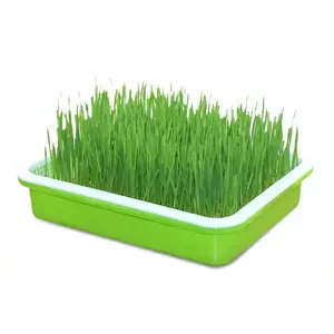 Indoor piccolo sistema idroponico net pot plant net cup microgreen tray grow system per pot plant