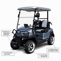 Voiturette de golf électrique 2 places, batterie 60V 100Ah à décharge profonde, suspension MacPherson, frein hydraulique double circuit, OEM ODM acceptés