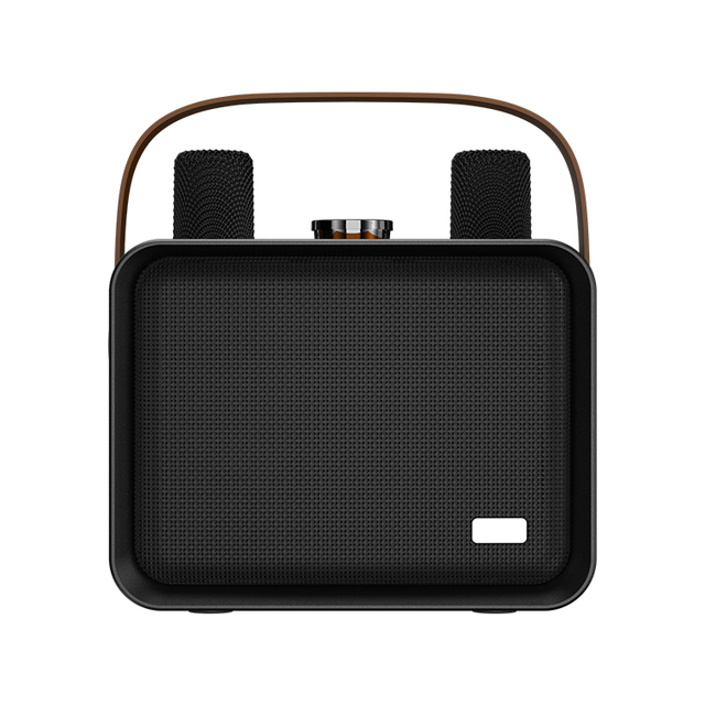 Professional Subwoofer 20w Class D Home Amplifier Sound High Quality Wireless Karaoke Speaker With Microphone for KTV