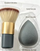 Set Kuas Makeup dengan Spons Kecantikan Mini Profesional, Kuas Sintetis Lembut untuk Foundation, Perlengkapan Makeup Wajah untuk Perjalanan dengan Wadah Transparan