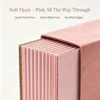 Boîte d'expédition ondulée rose pastel en kraft teinté doux, avec fermeture à rabat, en forme d'avion, pour emballage cadeau d'abonnement beauté, recyclable