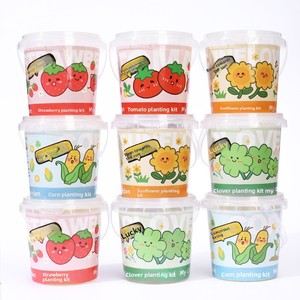 Kit de culture miniature pour enfants : Tournesol, Fraise, Légumes – Idéal pour l'observation de la croissance des plantes et l'éveil à la verdure - Product Image 2