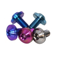 Fabrication sur mesure de boulons en titane Gr5, colorés arc-en-ciel, sur mesure, à tête hexagonale Torx, vis de moto RACING