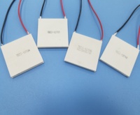 Module de refroidissement thermoélectrique Peltier à semi-conducteurs TEC haute puissance 62*62mm, haute capacité de refroidissement