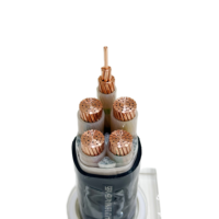 Cable de Aluminio de 2 Núcleos WDZC-YJY de 0.6/1kV con Aislamiento XLPE y Cubierta de PVC, Libre de Halógenos, Clasificación IP68, para Cableado Interior de Edificios Altos