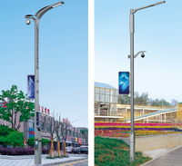 Le module Ip67 de bonne qualité haut pôle a mené le réverbère intelligent led lampadaire