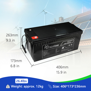 Batteries LiFePO4 Lithium-Ion en Promotion 12V 12.8V 24V 100Ah 200Ah 300Ah pour Camping-Car - Product Image 5