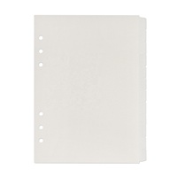 Séparateurs de pages personnalisés pour agenda 12 mois, PVC pp, A5, séparateurs de classeur A5, givrés