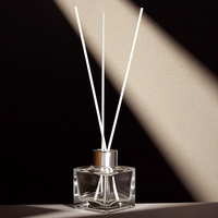 Bouteilles diffuseurs en verre carrées courtes personnalisées en usine, de 50 ml à 300 ml, récipients d'aromathérapie, logo et couleur personnalisables