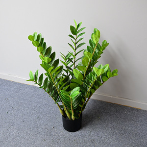 <span class=keywords><strong>Prix</strong></span> de gros bon marché <span class=keywords><strong>Eucalyptus</strong></span> artificiel <span class=keywords><strong>arbre</strong></span> d'argent avec tige à feuille unique Zamiifolia pour la maison mariage décorations de Noël - Product Image 3