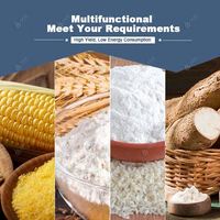 Petite rectifieuse de blé/maïs/maïs pour le broyage/broyage des grains Sorgho, manioc, pomme de terre séchée, tapioca, millet, igname, Atta Chakki