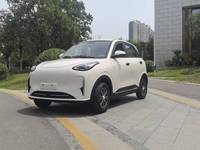 Véhicule électrique 3500W de petite taille, 4 places, adapté aux adultes pour les voyages en extérieur, autonomie de 300 km, voitures électriques Li EV