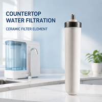 Élément filtrant en céramique OEM ODM de 10 pouces pour systèmes d'eau sous évier, sur comptoir et commerciaux