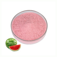 Poudre d'extrait de melon d'eau en vrac, poudre de jus de melon d'eau