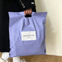 Sac d'expédition portable coloré avec poignée, sac de transport pour vêtements, sac de colisage pour le commerce électronique, emballage de colis pour vêtements