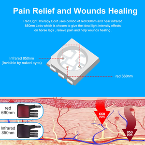 Лидер продаж, светодиодное устройство для терапии красного света 660 850 нм, лошадиные красные световые терапевтические ботинки для лошадей со встроенным аккумулятором - Product Image 3