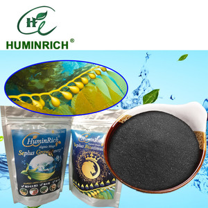 HuminRich XFS1002-B Bio-Enzymatischer Ascophyllum Nodosum Extrakt zur Förderung des Pflanzenwachstums und der Erträge - Product Image 2