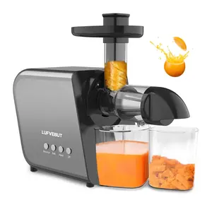 BPA Free Commercial Automatic Professional Juice Higher Nutrients and Vitamins Cold Press Slow Juicer