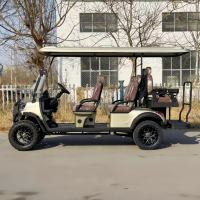 Mini Icon Luxury 48v 6 Seater Electric Golf Cart avec batterie au lithium Livraison gratuite Bon prix Beach Buggy pour Club Road Use