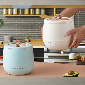 Maison petite cuisinière électrique intelligente cuisson <span class=keywords><strong>à</strong></span> la vapeur multifonctionnelle pour deux personnes cuisson mini cuisinière électrique - Product Image 3