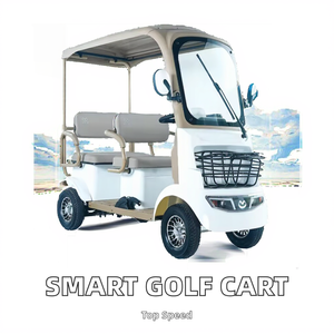 OFERTA - Mini Carro Eléctrico Inteligente de 4 Ruedas, Scooter Tipo Buggy de Golf, Nuevos Diseños, Carritos de 4 Ruedas, Carro de Golf con Funciones Inteligentes - Product Image 2
