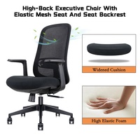 Chaise de bureau ergonomique de luxe avec soutien lombaire, chaise de travail exécutive en maille