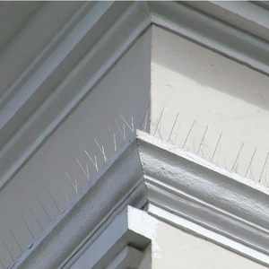 Vente en gros de pointes en acier inoxydable 304 avec base en polycarbonate pointes dissuasives pour oiseaux <span class=keywords><strong>répulsif</strong></span> <span class=keywords><strong>Pigeon</strong></span> adapté à une utilisation en extérieur - Product Image 5