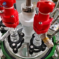 Reactor Químico Automático Encamisado de 15L (con Recipiente de Agitación) Diseñado para Plantas de Fabricación en Venta