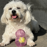 Jouet interactif pour chien, balle roulante pour chien, distributeur de friandises pour chien, jouet à mâcher pour chien, fabricant de jouets pour animaux de compagnie