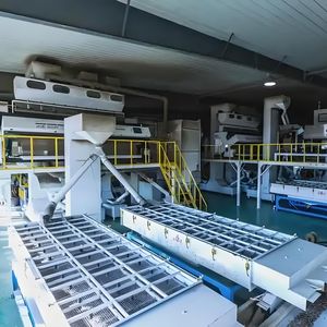 بذور عباد الشمس العضوية الخام المجففة عالية الجودة الأوروبية 25 كجم بسعر الجملة للطن - Product Image 5