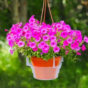 Plateau de drainage transparent rond en plastique pour plantes d'intérieur, 6, 8, 10, 12 pouces, avec trou de drainage - Product Image 3