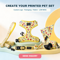 Ensemble de promenade pour animaux de compagnie imprimé et mignon avec harnais pour chien et chat à enfiler, laisse, collier réglable, bandana, nœud papillon et accessoires personnalisables avec logo