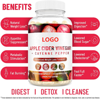 Gummies de vinaigre de cidre de pomme à base de plantes, personnalisables OEM/ODM avec logo, pour une meilleure digestion, une détoxification et une perte de poids