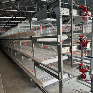 Chuồng gà công nghiệp tự động chuồng thân thiện với ngân sách chuồng cho GÀ ĐẺ để sử dụng tại nhà - Product Image 1