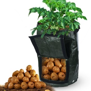 <span class=keywords><strong>Sac</strong></span> de culture de pommes de terre de <span class=keywords><strong>jardin</strong></span> portable Sacs de jardinière de légumes avec poignées - Product Image 3