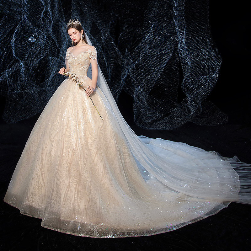 Shop Our 2020 Luxury Plus Size Wedding Dresses with Sequins