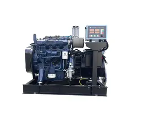 Weiyai set generator diesel tipe senyap terbuka daya 25kw pabrikan Tiongkok