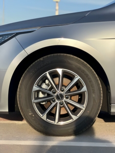 Auto Eléctrico BYD Destroyer 05 2024 de Cuatro Ruedas - Product Image 6