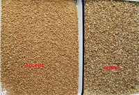 2000 Kg/h Pérou Quinoa Trieuse Optique Couleur CCD Trieuse Machine Trieuse pour Grains Andins