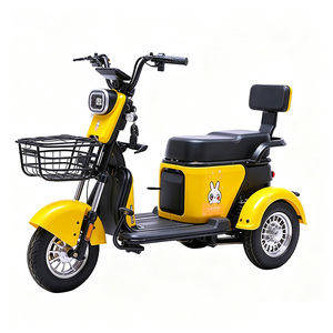 Tricycle électrique adulte 2 places avec panier, tricycle électrique pour passagers, capacité 200 kg - Product Image 5