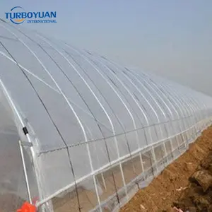UV-beständige klare weiße wasserdichte Polyethylen-Kunststoff-Poly folien rollen 6 mil für Gewächshaus und Bau