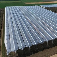 Tissu tissé en PE transparent renforcé, stabilisé aux UV, remplacement de la toile de poulailler, rideau roulant à découper pour volailles